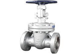 Gate valve Manufacturer in India 